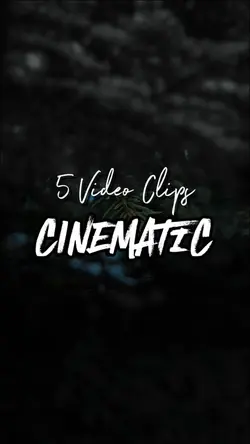5 Video Clips 