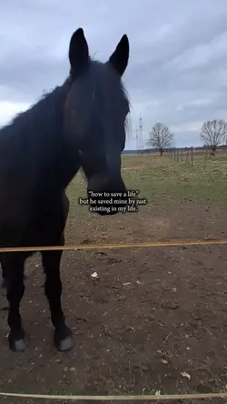 safe a life