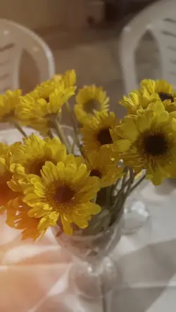 Encontro de Mulheres