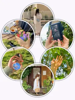 6Pic Frame Aesthetic