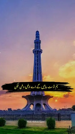 Pakistan Day templat