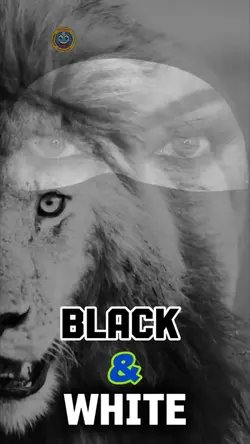 Black & White!🤍🤍🤍