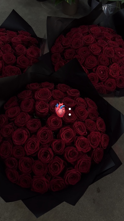 Red roses 🌹 