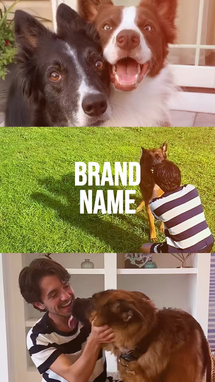 Cuidado de mascotas