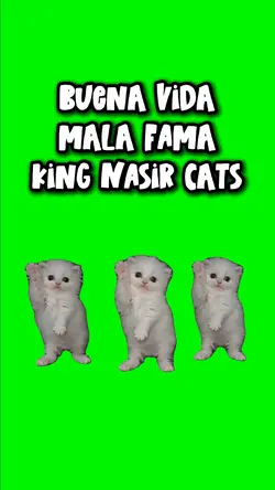 King Nasir Cats
