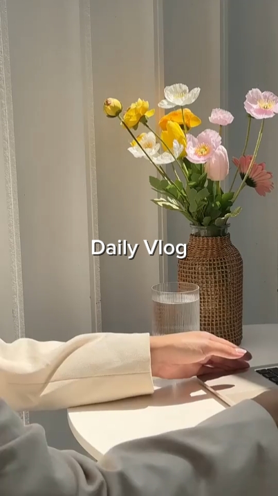 Daily Vlog