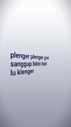 plenger plenger gini