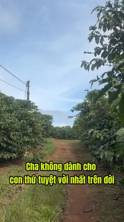 Mẫu cha 