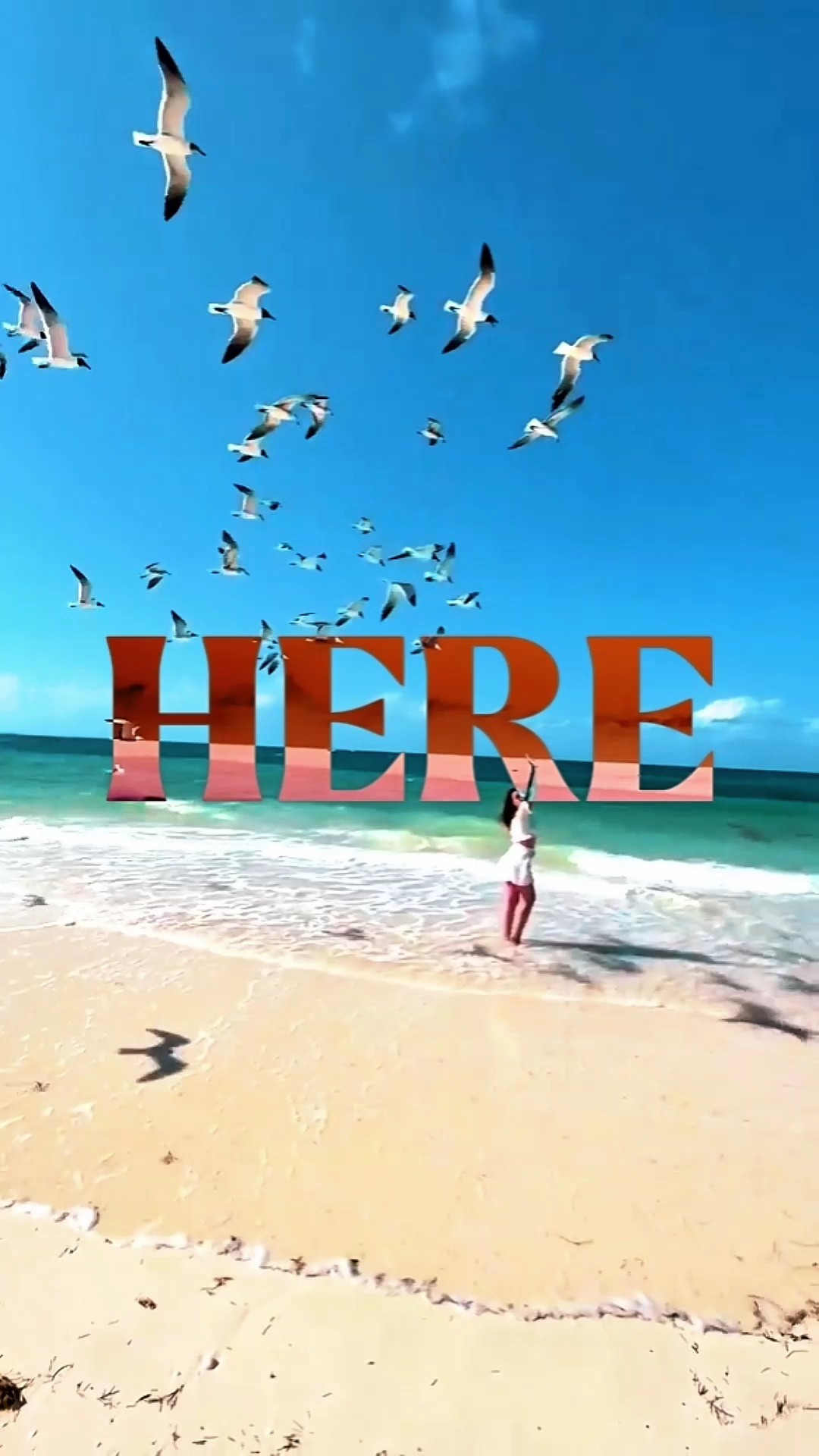 traveling vlog