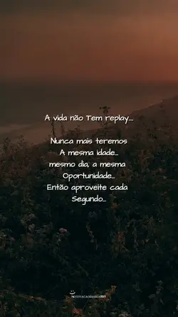 A VIDA Ñ TEM REPLAY