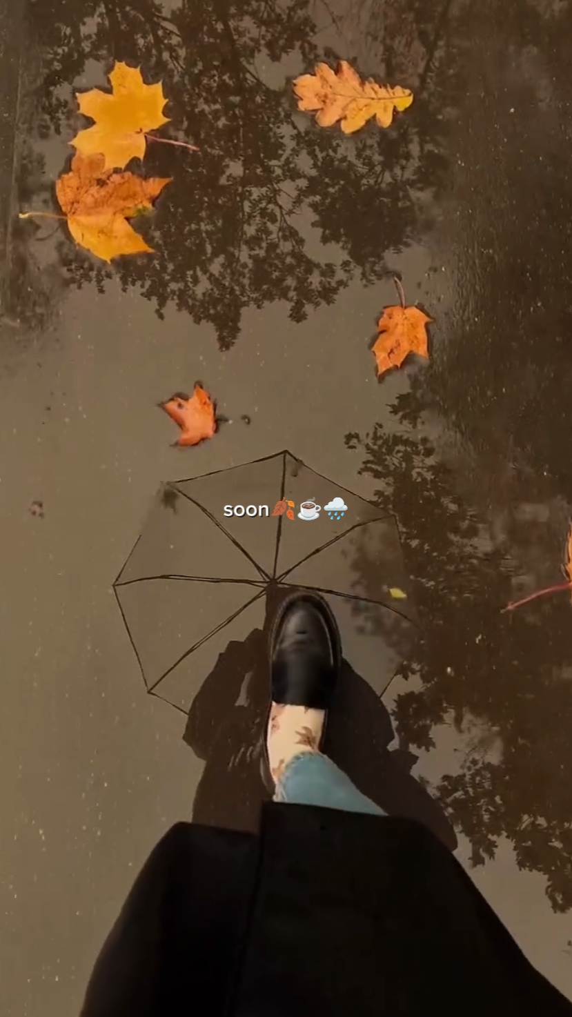 feuilles d'automne