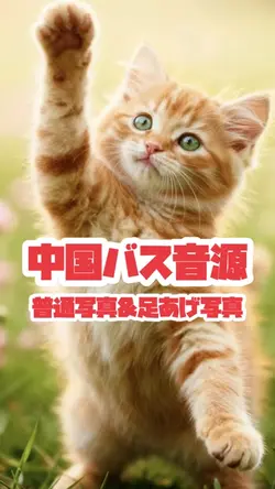 写真2枚で中国軍隊ダンス💃