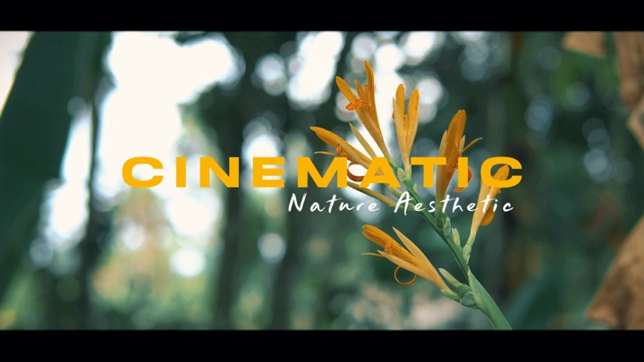 Naturaleza Cinemática Aes