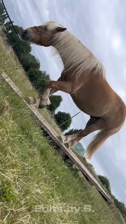 Slowmo