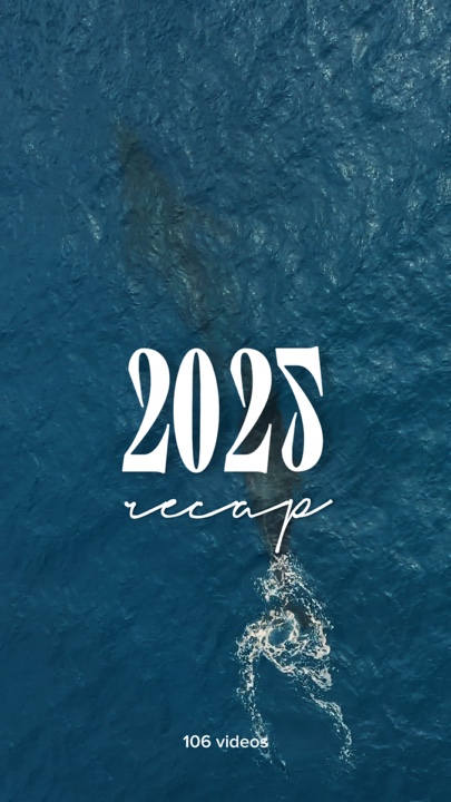 2025 recap
