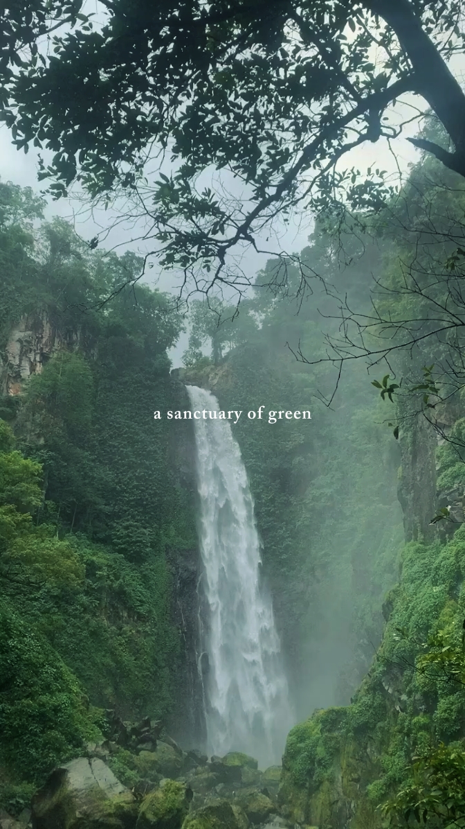 nature therapy