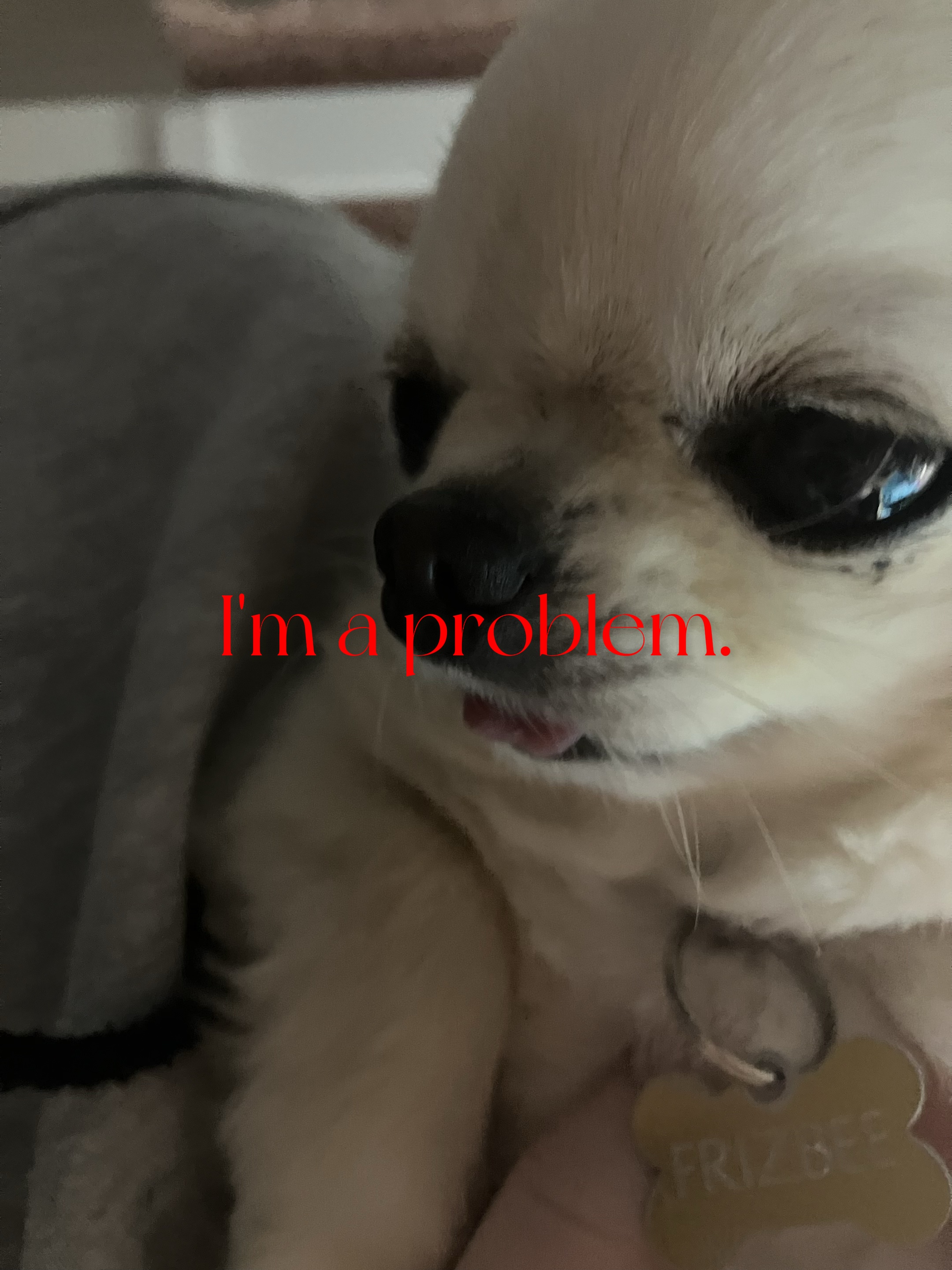 I'm A Problem.
