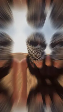 ตุกกะตุก