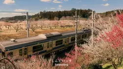 私は諦められない