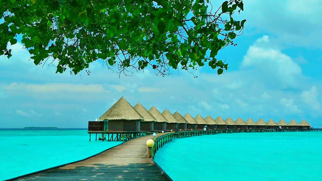 6 vidio