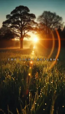 Light Returns