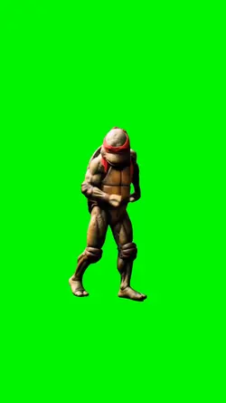 turtle c walk