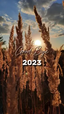 goodbye 2023