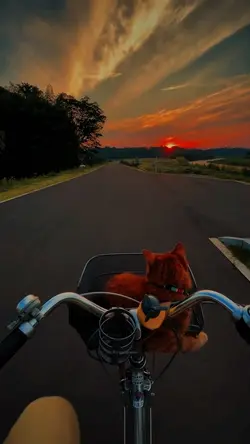 slowmotion aesthetic