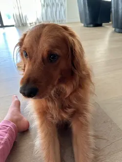 I want to be ninjaaa