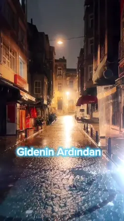 Gidenin ardından 
