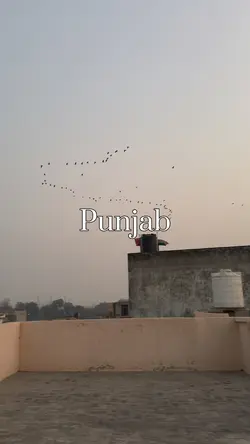 Punjab,Pind 