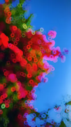 slow motion template