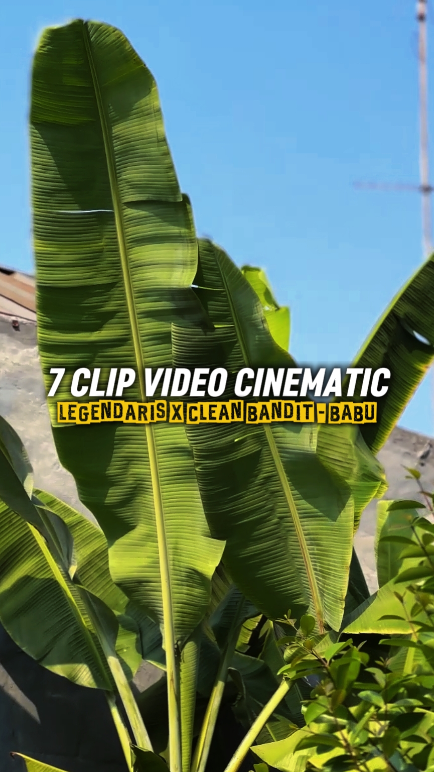 7 VIDÉO CINÉMATIQUE