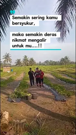 Story tyme