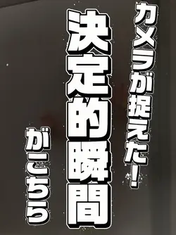 ネタ系/決定的瞬間！写真1枚