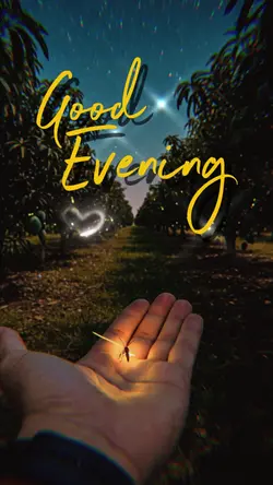 Good Evening