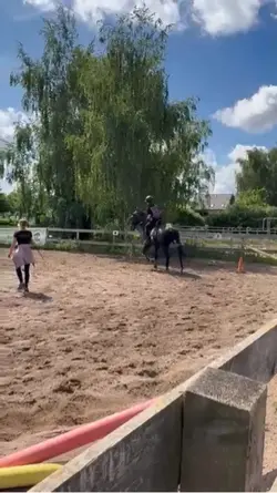 Reiten