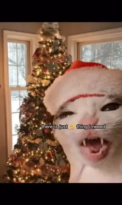 Happy chulrusmus