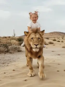 Ride a lion