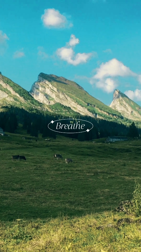 Cinematic Nature