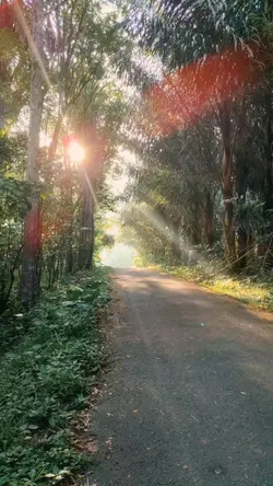suasana pagi