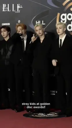 straykids golden dis