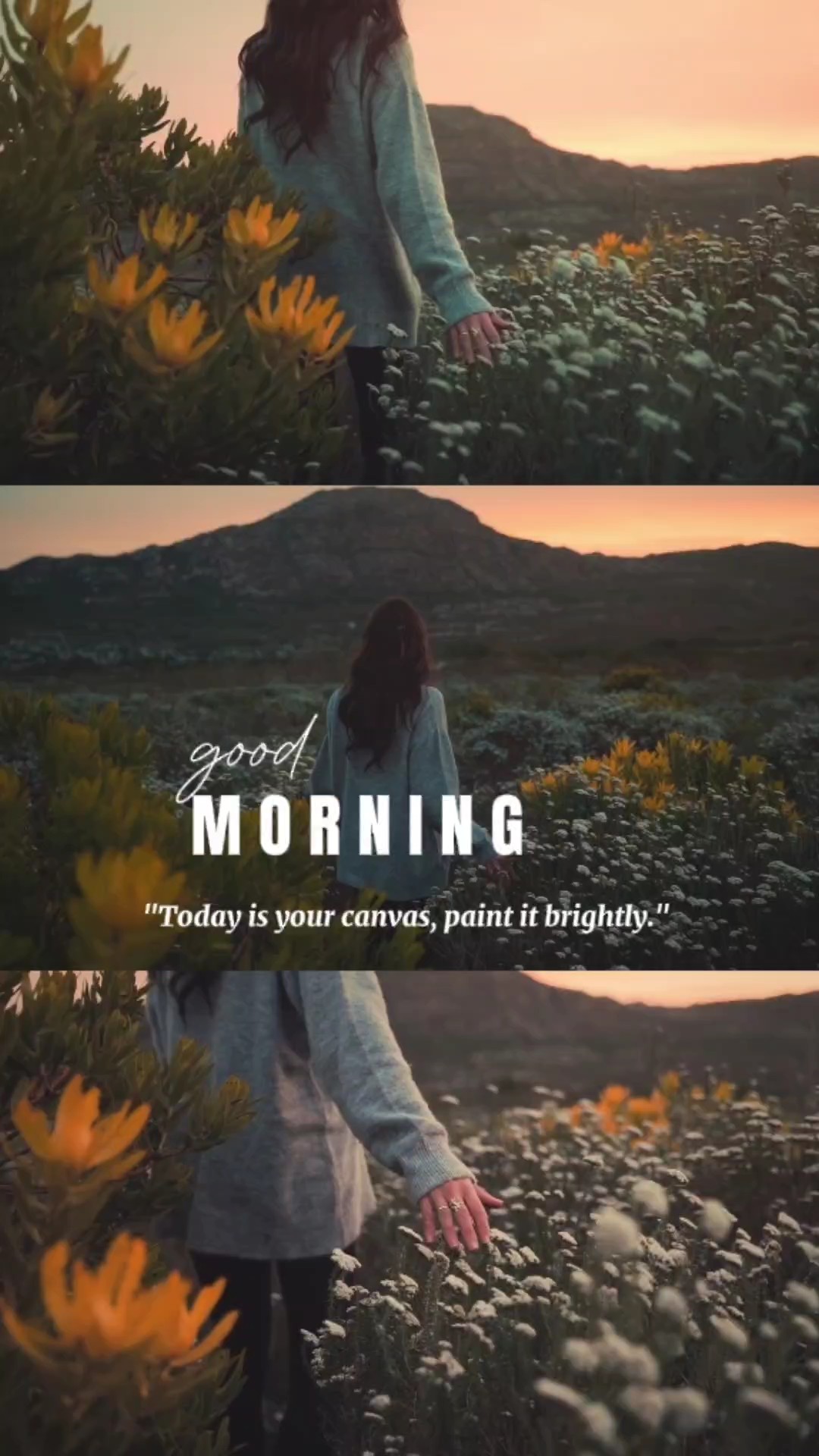 Morning Vibes