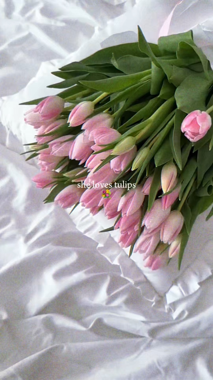 Feliz dia da mulher💐