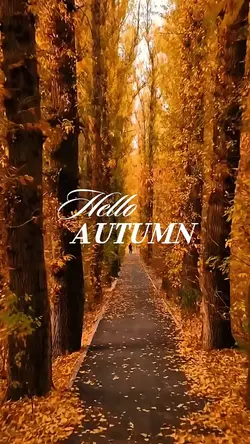 Hello Autumn 🍂 