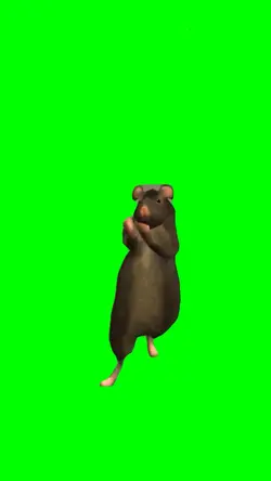 DANCING MOUSE