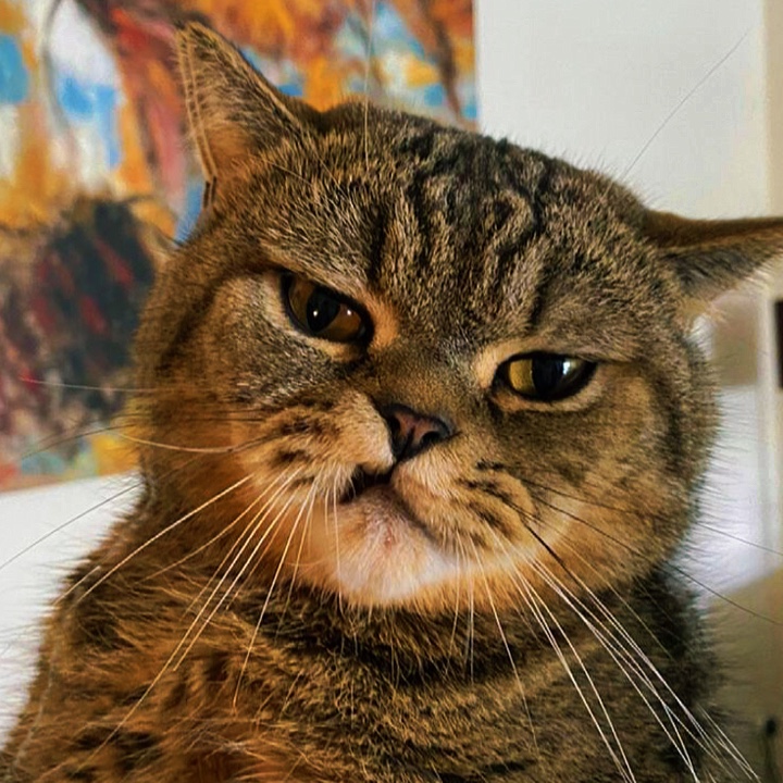 Headboop trend 