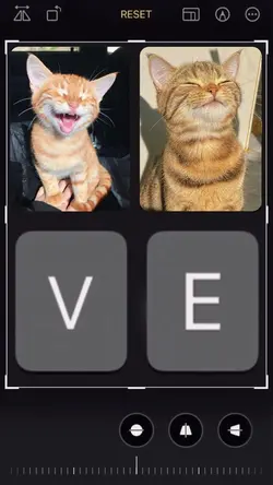 Keyboard Love Cat