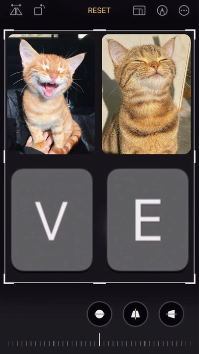 Keyboard Cinta Kucing
