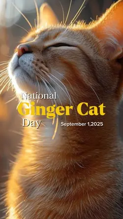 Ginger Cat Day
